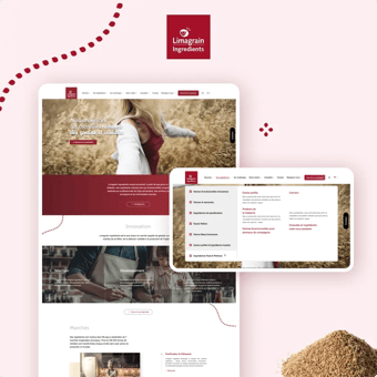 Miniature du cas client Limagrain Ingredients pour une UX optimisé
